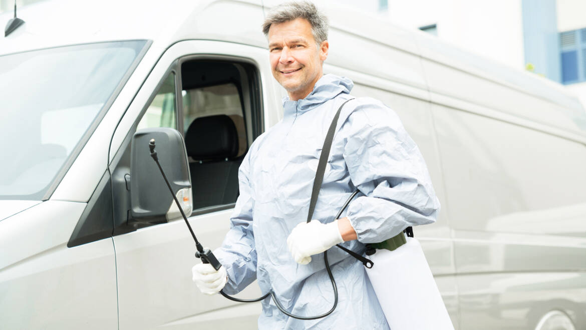 How to Safely Clean and Evict Dangerous Insects from Your Home?